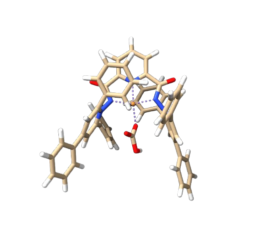Copper complex with CO2 captured as bicarbonate